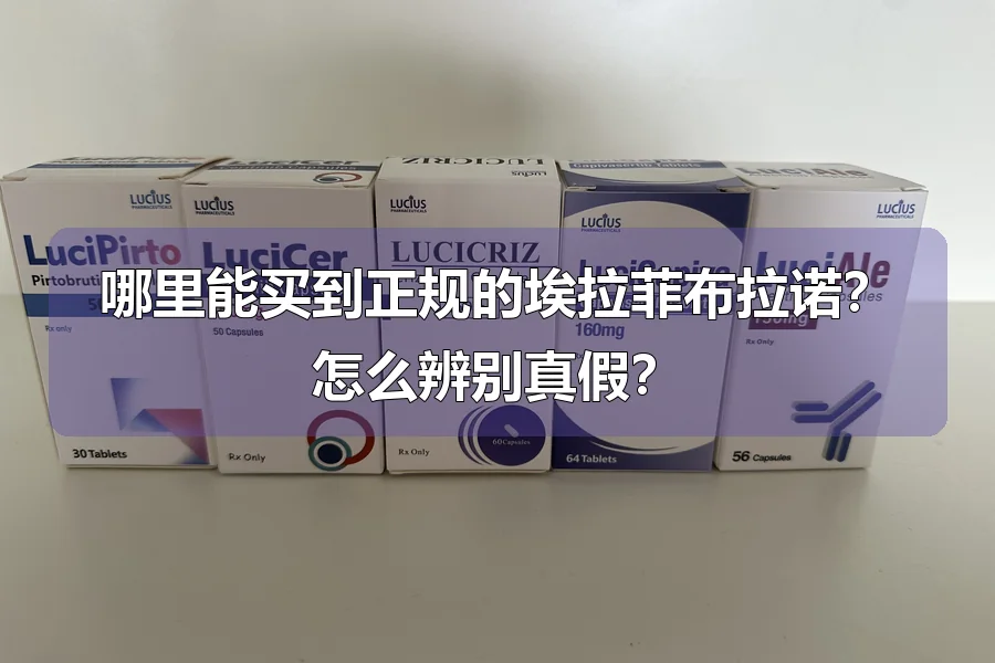 哪里能买到正规的埃拉菲布拉诺？怎么辨别真假？